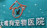 大嘴狗宠物医院：科技赋能构建智慧诊疗体系