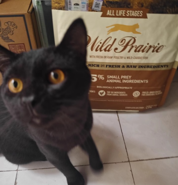 高档猫粮品牌有哪些,Acana爱肯拿以自然之力定义高端 高档猫粮品牌有哪些,Acana爱肯拿以自然之力定义高端