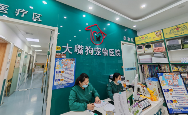 大嘴狗宠物医院:专家团队守护宠物健康 大嘴狗宠物医院:专家团队守护宠物健康