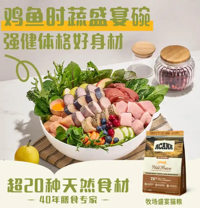 爱肯拿猫粮体验怎么样,揭示品牌背后的营养秘密 爱肯拿猫粮体验怎么样,揭示品牌背后的营养秘密