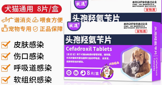 牧逸宠物头孢羟氨苄片多少钱