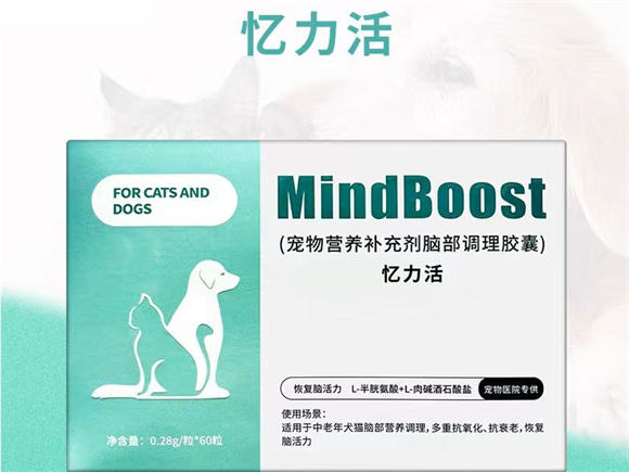 守护毛孩的脑部健康，从忆力活调理胶囊开始