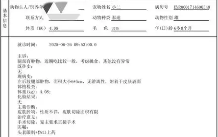 宠物狗长肿瘤手术后保险“拒赔” 宠物狗长肿瘤手术后保险“拒赔”