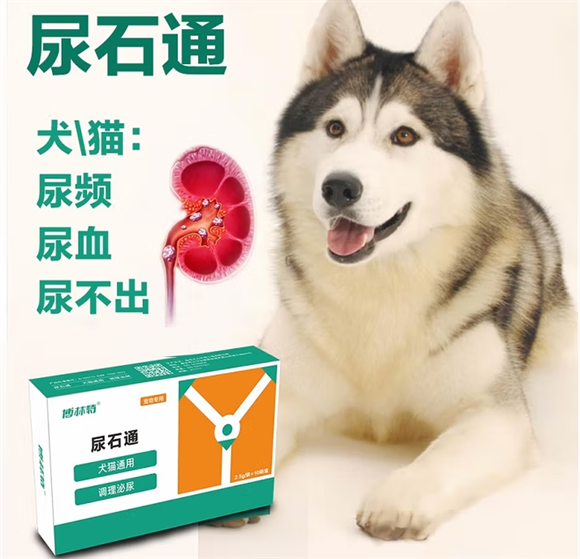 科学守护爱宠泌尿健康!博林特尿石通专业解析 科学守护爱宠泌尿健康!博林特尿石通专业解析