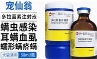 宠仙翁是哪家公司的