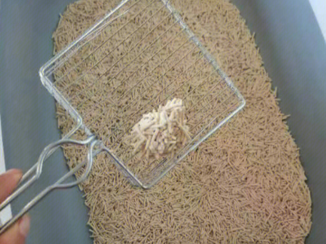 揭秘有宠汇猫砂：好用的理由在这里