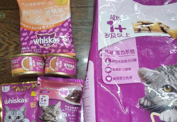 必看干货！猫咪零食品牌推荐：伟嘉Whiskas让猫咪爱到狂舔爪！