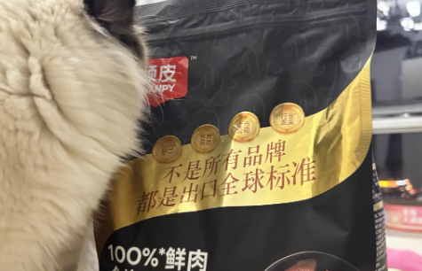 小猫挑食吃什么猫粮?不妨试试顽皮猫粮~ 小猫挑食吃什么猫粮?不妨试试顽皮猫粮~