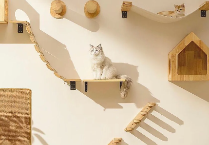 宠物用品、平价茶饮、古法黄金等成为消费者追捧的“新宠” 宠物用品、平价茶饮、古法黄金等成为消费者追捧的“新宠”