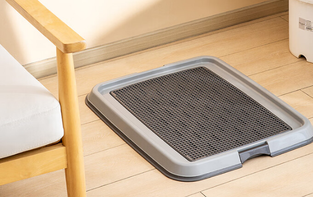 比熊狗厕所推荐什么？爱丽思帮助狗狗轻松排便！