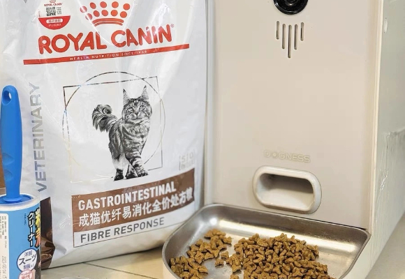 高纤维易消化的猫粮：皇家用心守护猫咪肠道健康