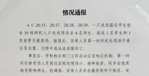 北理工珠海校区保安当众捕杀流浪猫?校方:它抓伤多人 北理工珠海校区保安当众捕杀流浪猫?校方:它抓伤多人