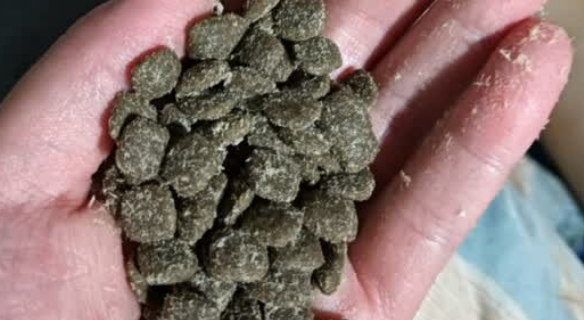 比熊粮幼犬狗粮品牌推荐——乐顿狗粮! 比熊粮幼犬狗粮品牌推荐——乐顿狗粮!