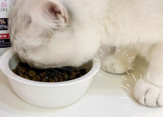 封端口猫粮,高品质!低价格! 封端口猫粮,高品质!低价格!