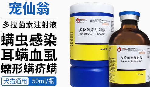 宠仙翁是哪家公司的