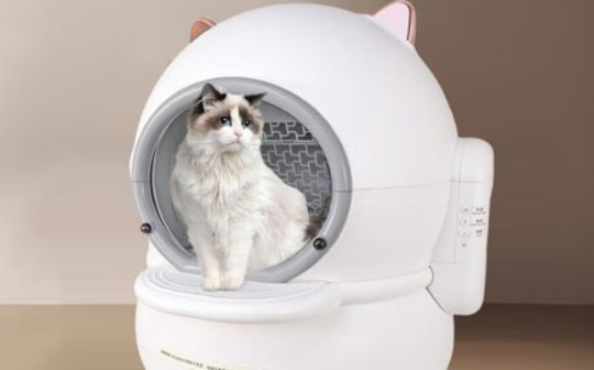 墙角猫宠物品牌产品怎么样? 墙角猫宠物品牌产品怎么样?