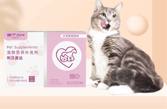 贝特安可宠物用品店总部地址在哪里 贝特安可宠物用品店总部地址在哪里