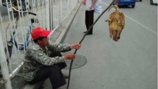 路边买了只乌龟，卖家说是“玄武下凡”