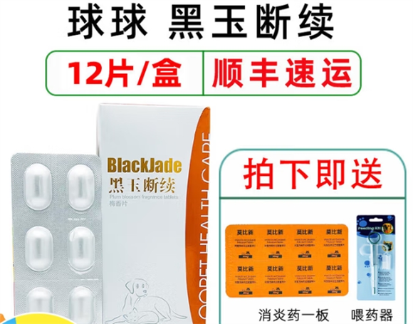 球球黑玉断续怎么喂