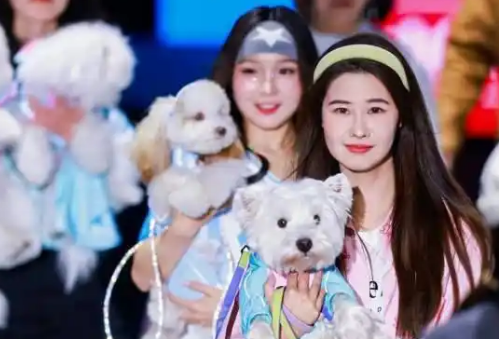 “养儿式”养宠成年轻人消费趋势