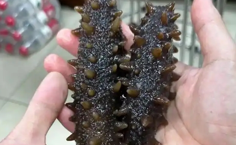 海参氨糖价格一瓶多少钱