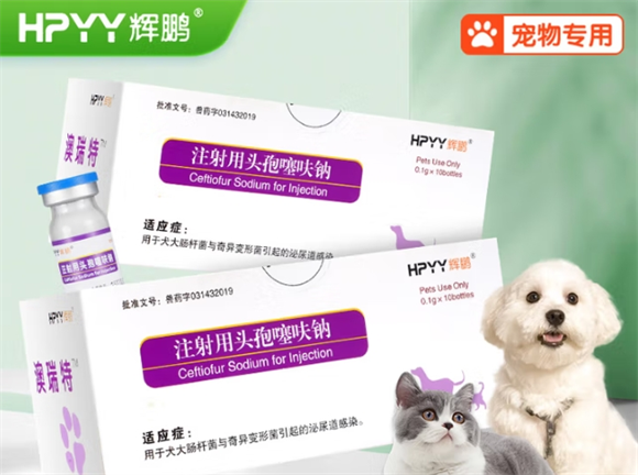 辉鹏宠物头孢噻呋钠泌尿打几天针