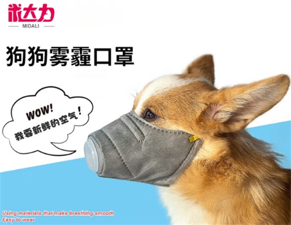 米达力宠物用品哪里有卖的啊