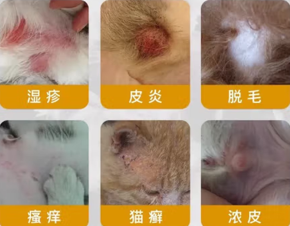 卓宠皮肤抑菌喷剂：全方位呵护宠物皮肤健康