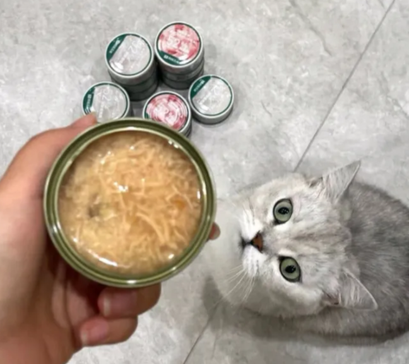 猫咪补水罐头什么牌子好?网易严选让宠物爱上美味与健康 猫咪补水罐头什么牌子好?网易严选让宠物爱上美味与健康
