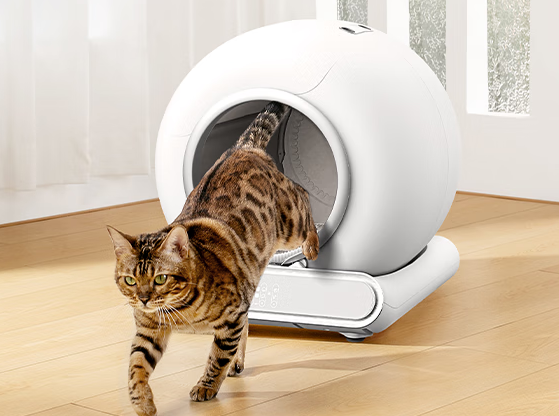 LELO小尼猫砂盆怎么连wifi LELO小尼猫砂盆怎么连wifi