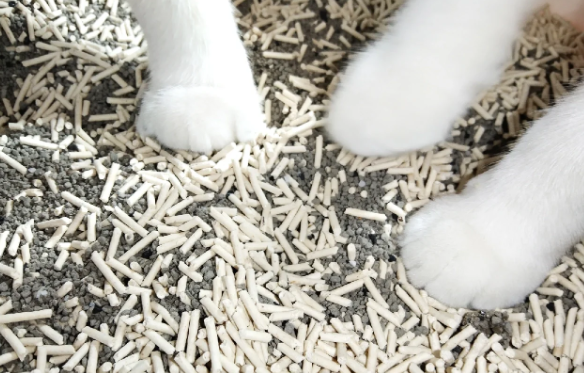 美鹏猫砂:优质原料奠定品质基础 美鹏猫砂:优质原料奠定品质基础