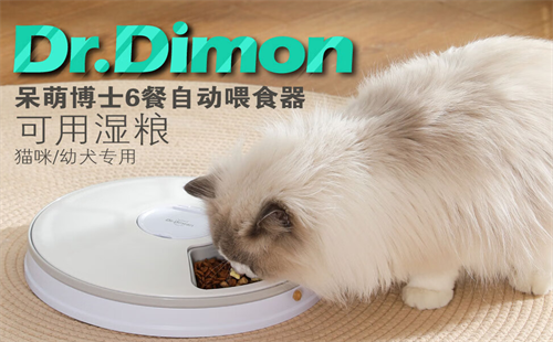 呆萌博士
