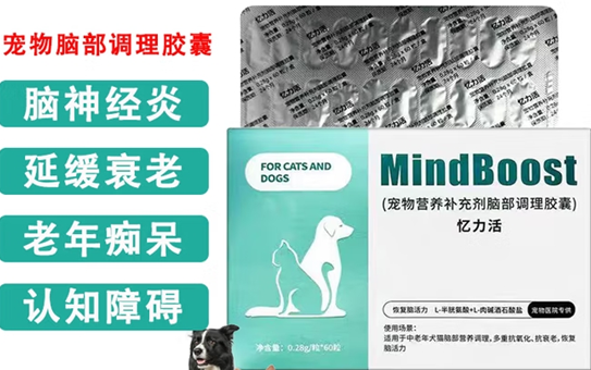 忆力活宠物营养补充剂的正确喂法