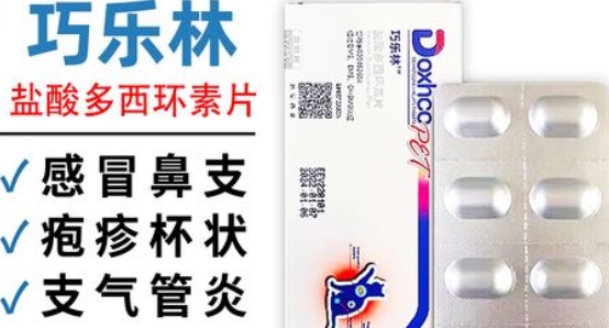 巧乐林宠物咳喘宁一次喂多少
