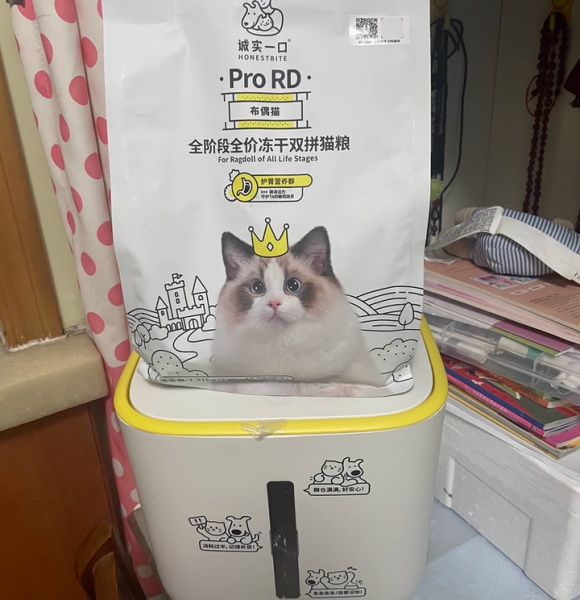布偶猫适合吃什么猫粮?这三款为优雅天使定制营养盛宴 布偶猫适合吃什么猫粮?这三款为优雅天使定制营养盛宴
