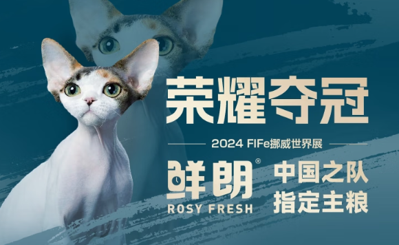 口碑好的猫粮丨猫咪爱不释口的鲜朗猫粮到底有啥魔力？