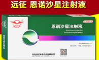 远征恩诺沙星注射液主要治疗什么病