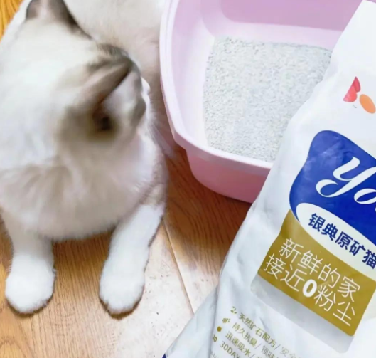 波多宝猫砂测评:无尘、结团快,值得回购 波多宝猫砂测评:无尘、结团快,值得回购
