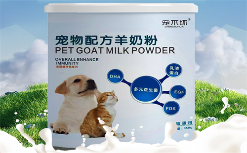 宠不坏