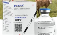 齐鲁动保兽药是哪家公司的