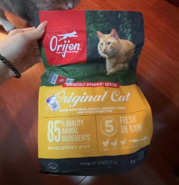 便宜猫粮和贵猫粮的区别,科学喂养是底层逻辑 便宜猫粮和贵猫粮的区别,科学喂养是底层逻辑