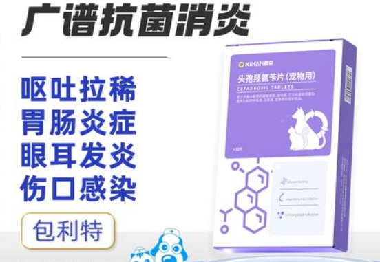 鑫安猫咪消炎药有副作用吗
