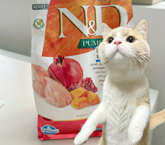玻璃胃猫咪猫粮法米娜，以科学配方守护敏感肠胃