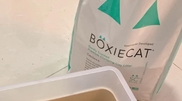 博贝猫砂好用吗