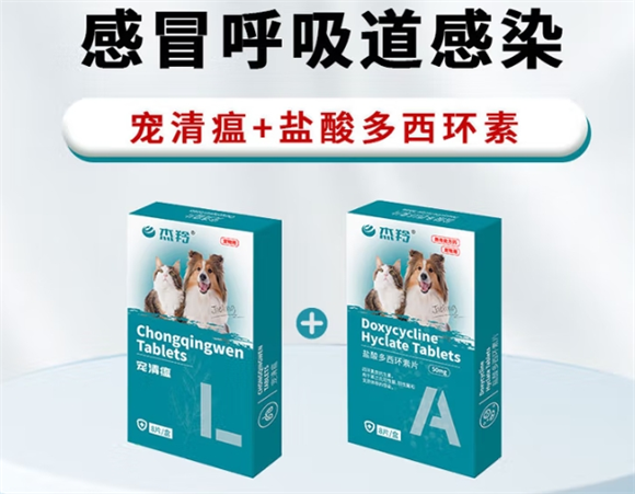 杰羚多西环素:犬猫呼吸道感染的专业治疗方案 杰羚多西环素:犬猫呼吸道感染的专业治疗方案