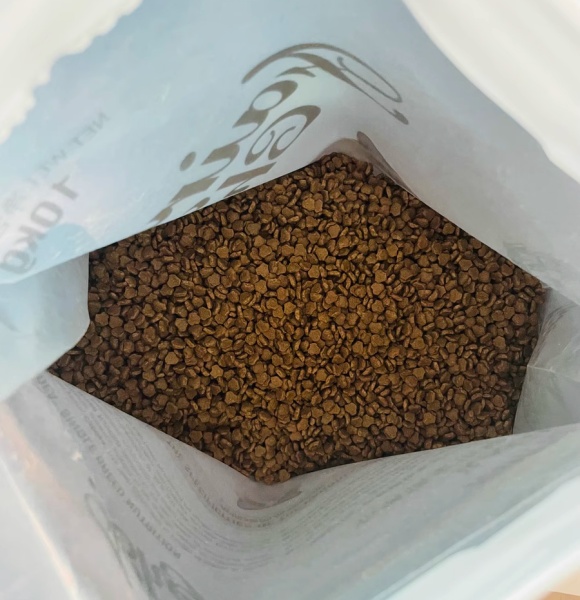布偶猫适合吃什么猫粮?这三款为优雅天使定制营养盛宴 布偶猫适合吃什么猫粮?这三款为优雅天使定制营养盛宴