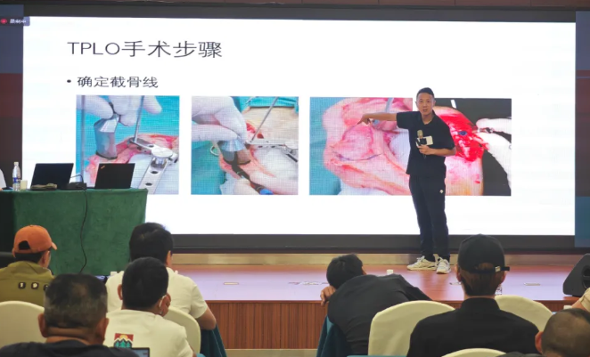 谛宝诚赴昆明交流,全面展示了CT在临床上的广泛应用 谛宝诚赴昆明交流,全面展示了CT在临床上的广泛应用