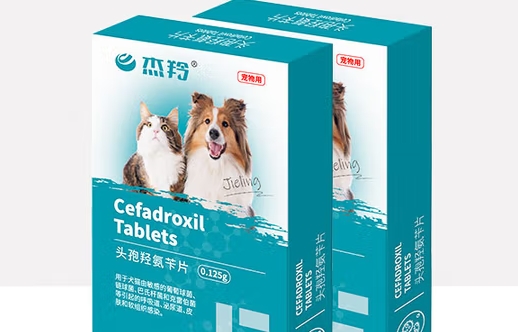杰羚宠物头孢羟氨苄片一天吃几颗