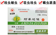 正确使用马头驱虫药，为宠物健康加分