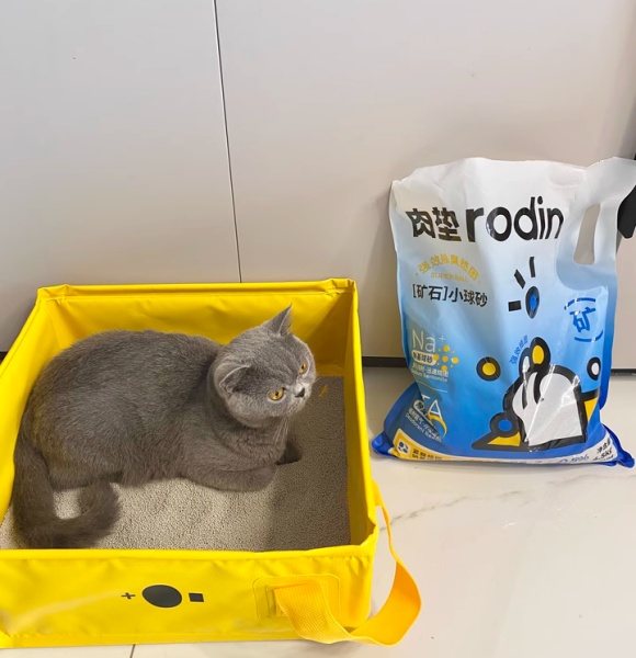 猫咪矿砂猫砂推荐:Rodin肉垫除臭不扬尘,这你受得了吗 猫咪矿砂猫砂推荐:Rodin肉垫除臭不扬尘,这你受得了吗